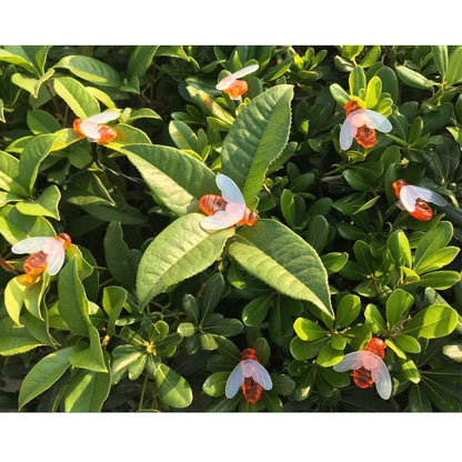 Solar New String Lights 20Led Little Bee Christmas Lanterns Flashing Lights Christmas String Lights Garden Decoration Lights - Rehmiar