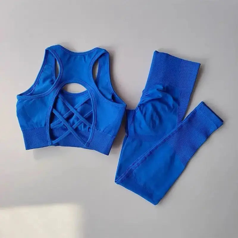 2-Piece Women's Sports Bra & Leggings Set – Professional Fitness Tank Top Bra, Shockproof Running & Yoga Suit Rehmiar
