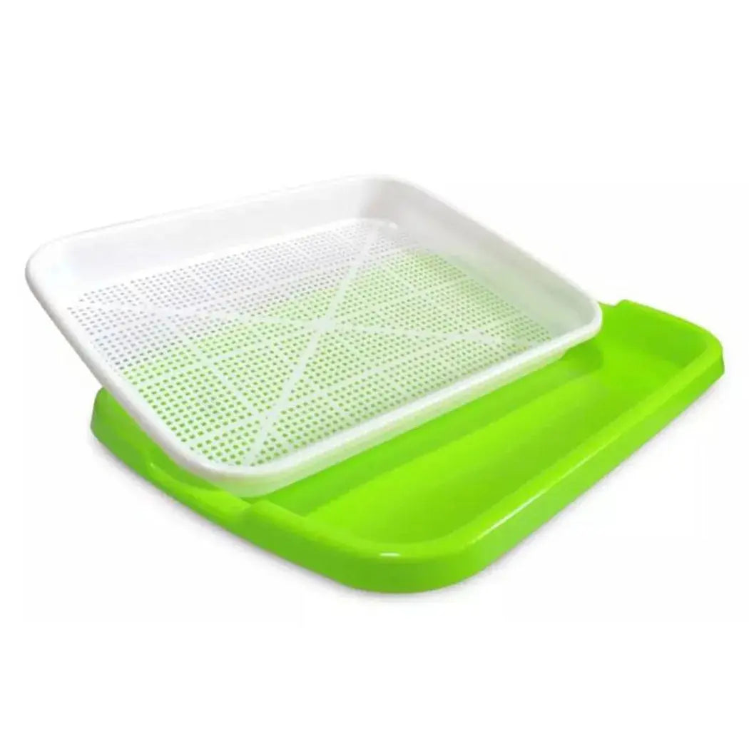 Microgreens Sprouter Tray – Hydroponic Sprouting Tray for Garden, Nursery & Potted Plants - Rehmiar