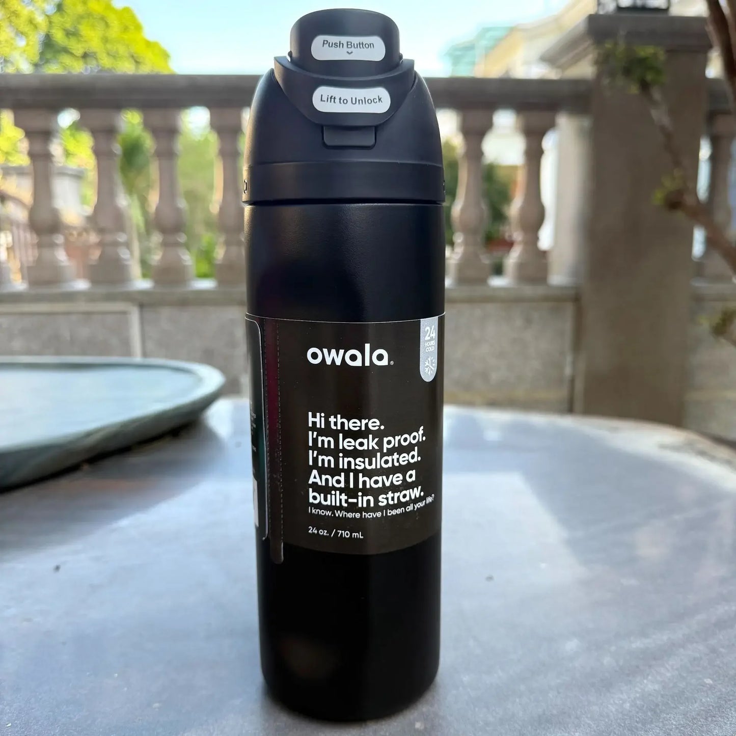 Insulated Stainless Steel Sports Water Bottle with Straw