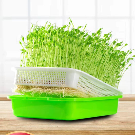 Home Garden Balcony Portable Grass Soil-less Bean Seedling Tray Home Sprout Seedling Rehmiar