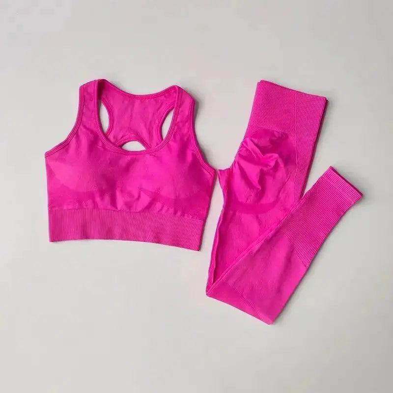 2-Piece Women's Sports Bra & Leggings Set – Professional Fitness Tank Top Bra, Shockproof Running & Yoga Suit Rehmiar