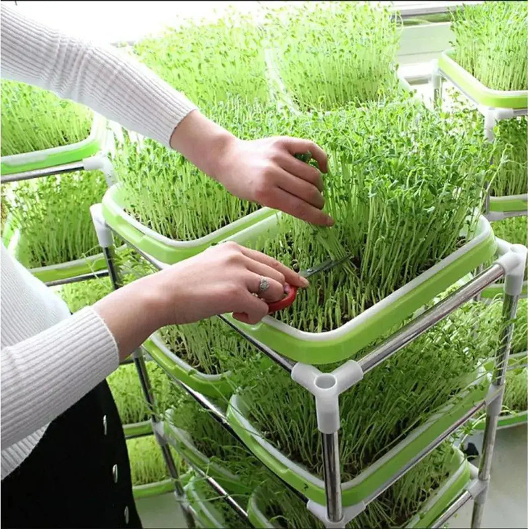 Microgreens Sprouter Tray – Hydroponic Sprouting Tray for Garden, Nursery & Potted Plants - Rehmiar