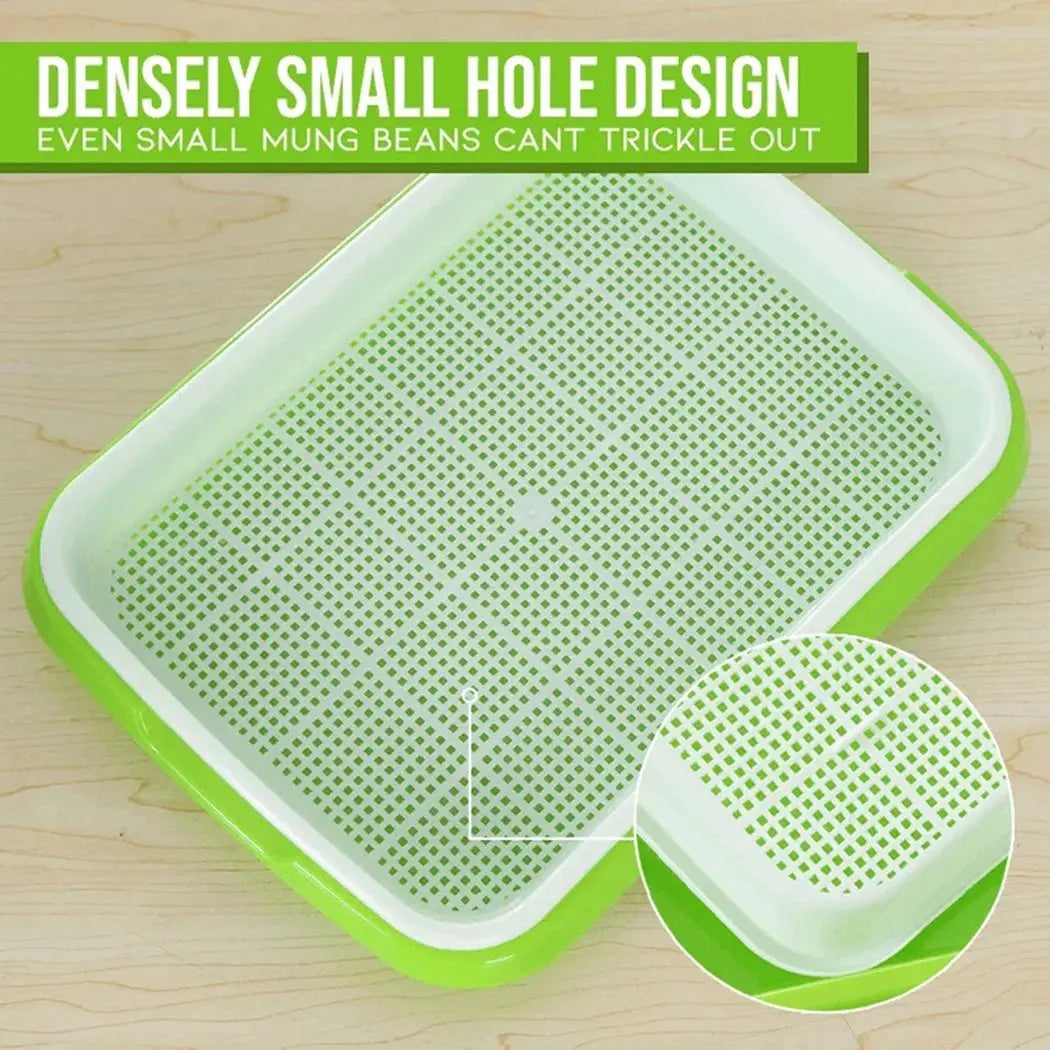 Microgreens Sprouter Tray – Hydroponic Sprouting Tray for Garden, Nursery & Potted Plants - Rehmiar