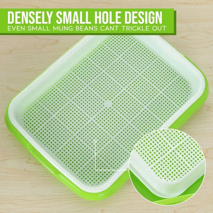Microgreens Sprouter Tray – Hydroponic Sprouting Tray for Garden, Nursery & Potted Plants - Rehmiar