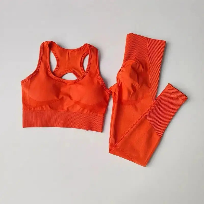 2-Piece Women's Sports Bra & Leggings Set – Professional Fitness Tank Top Bra, Shockproof Running & Yoga Suit Rehmiar