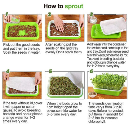 Microgreens Sprouter Tray – Hydroponic Sprouting Tray for Garden, Nursery & Potted Plants - Rehmiar