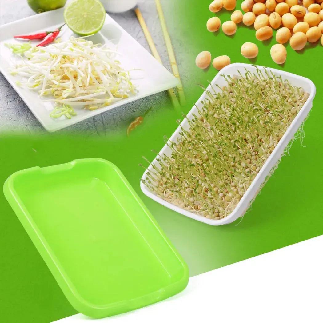 Microgreens Sprouter Tray – Hydroponic Sprouting Tray for Garden, Nursery & Potted Plants - Rehmiar