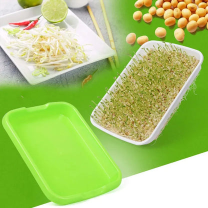 Microgreens Sprouter Tray – Hydroponic Sprouting Tray for Garden, Nursery & Potted Plants - Rehmiar