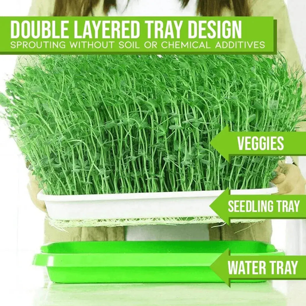 Microgreens Sprouter Tray – Hydroponic Sprouting Tray for Garden, Nursery & Potted Plants - Rehmiar