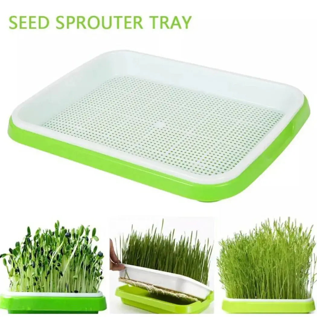 Microgreens Sprouter Tray – Hydroponic Sprouting Tray for Garden, Nursery & Potted Plants - Rehmiar