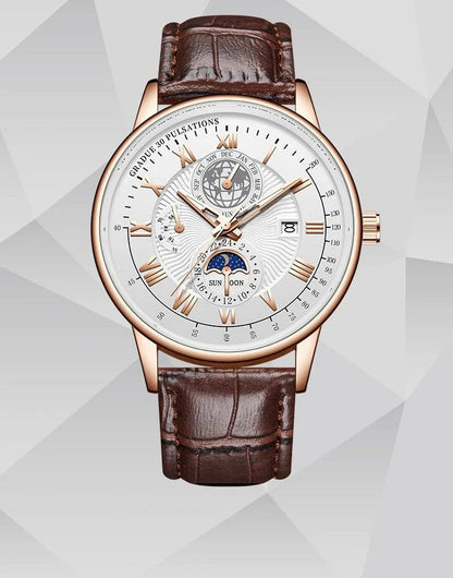 Men's Top Luxury Wristwatch Waterproof Luminous Leather Date Quartz Watches